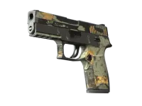 P250 | Modern Hunter (Battle-Scarred)