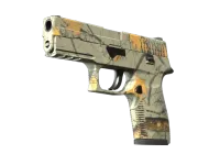 P250 | Modern Hunter (Com Pouco Uso) skin