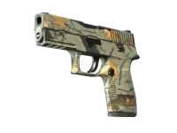 P250 | Współczesny łowca (mocne zużycie) skin