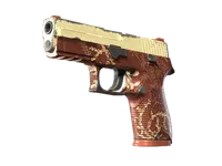 P250 | Red Tide (mocne zużycie) skin