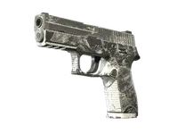 P250 | Sleet (Battle-Scarred) skin