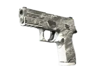 P250 | Sleet (Field-Tested)