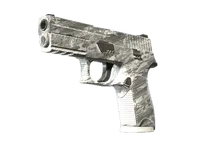 P250 | Sleet (Minimal Wear)
