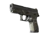 P250 | Nieduża sztuka (po ciężkich walkach) skin
