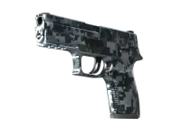 StatTrak™ P250 | Steel Disruption (Minimal Wear)