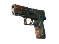 P250 | Supernova (Well-Worn)