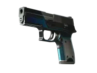P250 | 元素轮廓 (破损不堪) skin