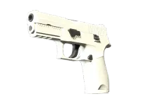 P250 | Whiteout (Minimal Wear)