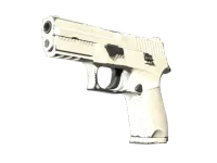 P250 | Wybielenie (mocne zużycie) skin