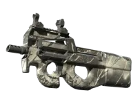 P90 | Ash Wood (Well-Worn) skin