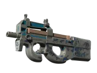 P90 | Blind Spot (Battle-Scarred)