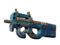 P90 | Martwy punkt (po testach bojowych) skin