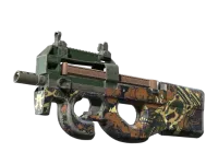 P90 | Cocoa Rampage (Välanvänd) skin