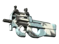 P90 | Malla glaciar (Bastante desgastado) skin