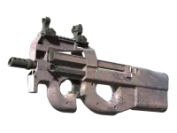 P90 | Wash me (Minimal Wear)