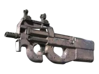 P90 | Wash me (Well-Worn)