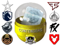 Paris 2023 Contenders Sticker Capsule skin