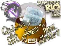 Rio 2022 Champions Autograph Capsule skin