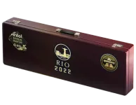 Rio 2022 Overpass Souvenir Package skin