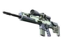 SCAR-20 | Tormenta (Algo desgastado) skin