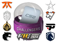 Shanghai 2024 Challengers Sticker Capsule skin