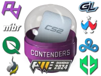 Shanghai 2024 Contenders Sticker Capsule