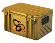 Snakebite Case
