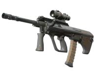 Souvenir AUG | Spalted Wood (Battle-Scarred)