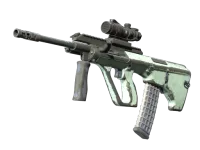 Souvenir AUG | Storm (Battle-Scarred)