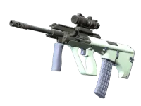 Souvenir AUG | 暴风呼啸 (略有磨损) skin