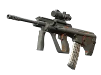 Souvenir AUG | Zamiatacz (po ciężkich walkach) skin