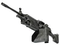 Souvenir M249 | Midnight Palm (Well-Worn)
