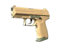 Souvenir P2000 | Niziny (mocne zużycie) skin