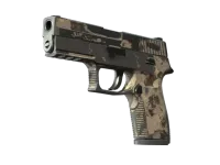 Souvenir P250 | Czerń i jasny brąz (po ciężkich walkach) skin