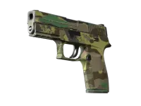 Souvenir P250 | Tajga (po testach bojowych) skin