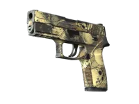 Souvenir P250 | Contamination (Well-Worn)