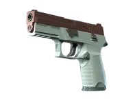 P250（纪念品） | 氧化铜 (崭新出厂) skin