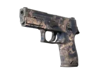 Souvenir P250 | Drought (Field-Tested)