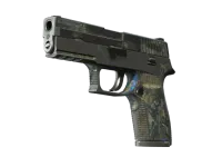 Souvenir P250 | Exchanger (Battle-Scarred)