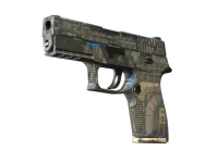 Souvenir P250 | Exchanger (Field-Tested)
