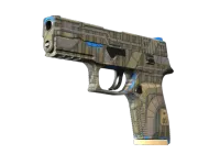 Souvenir P250 | 交换机 (略有磨损) skin