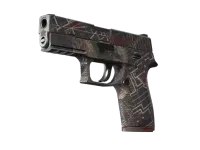 Souvenir P250 | Facility Draft (Well-Worn)