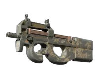 Souvenir P90 | Pustynny DDPAT (po ciężkich walkach) skin