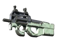 Souvenir P90 | 暴风呼啸 (战痕累累) skin