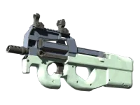Souvenir P90 | Storm (Well-Worn)