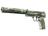 Souvenir USP-S | Road Rash (Battle-Scarred)