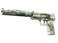 Souvenir USP-S | Road Rash (Field-Tested)