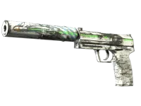 Souvenir USP 消音版 | 公路杀手 (略有磨损) skin