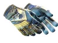 ★ Specialist Gloves | Big Swell (Minimal Wear)