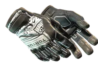 ★ Specialist Gloves | Blackbook (Field-Tested) skin